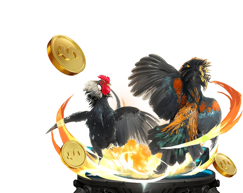 Cá cược bóng đá mb 666