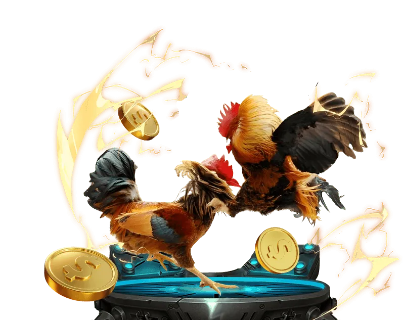 Cá cược bóng rổ mb 666